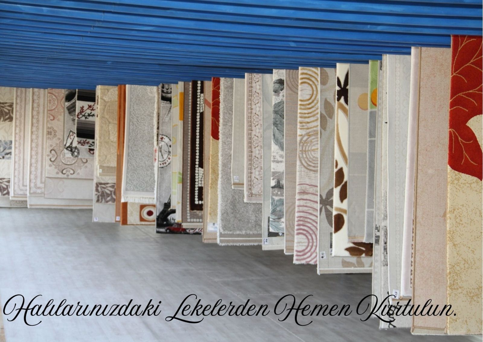 Şehitkamil Halı Yıkama Kampanyaları